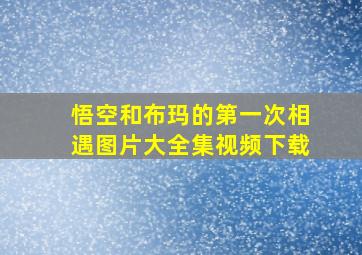 悟空和布玛的第一次相遇图片大全集视频下载