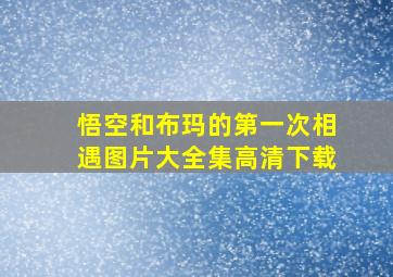 悟空和布玛的第一次相遇图片大全集高清下载