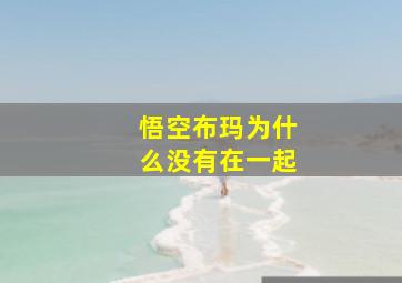 悟空布玛为什么没有在一起