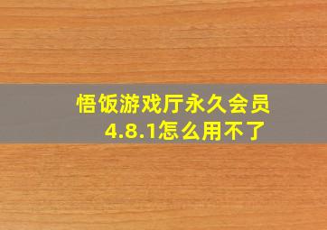 悟饭游戏厅永久会员4.8.1怎么用不了