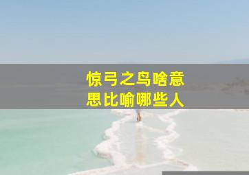 惊弓之鸟啥意思比喻哪些人