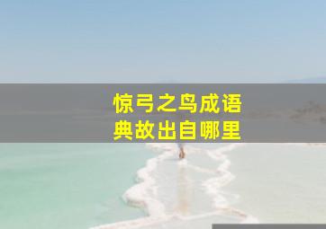 惊弓之鸟成语典故出自哪里