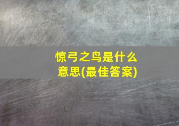 惊弓之鸟是什么意思(最佳答案)