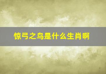 惊弓之鸟是什么生肖啊