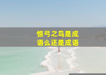 惊弓之鸟是成语么还是成语