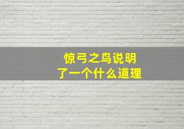 惊弓之鸟说明了一个什么道理