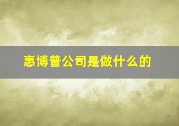 惠博普公司是做什么的