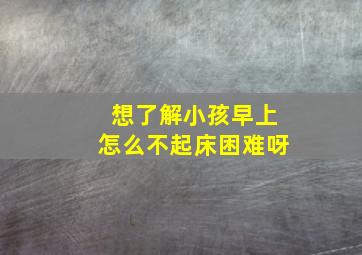 想了解小孩早上怎么不起床困难呀