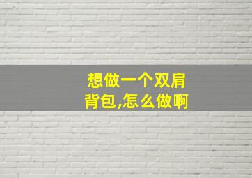 想做一个双肩背包,怎么做啊