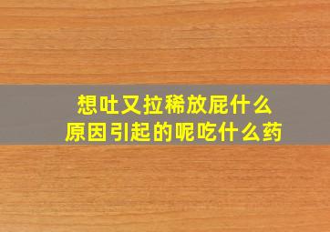 想吐又拉稀放屁什么原因引起的呢吃什么药