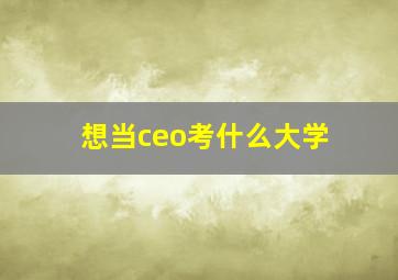 想当ceo考什么大学