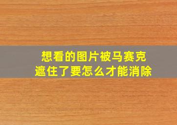 想看的图片被马赛克遮住了要怎么才能消除