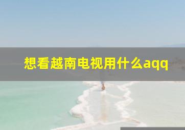 想看越南电视用什么aqq