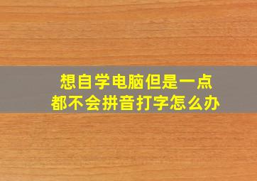 想自学电脑但是一点都不会拼音打字怎么办