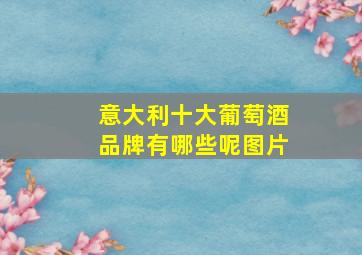 意大利十大葡萄酒品牌有哪些呢图片