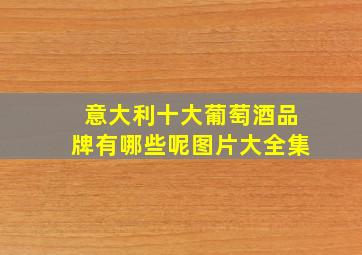 意大利十大葡萄酒品牌有哪些呢图片大全集