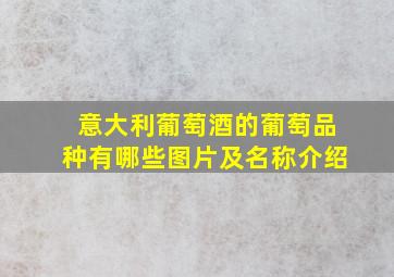 意大利葡萄酒的葡萄品种有哪些图片及名称介绍