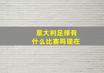 意大利足球有什么比赛吗现在