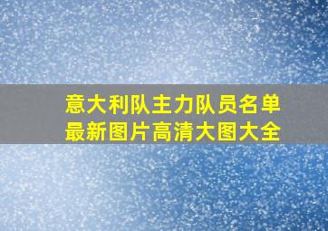 意大利队主力队员名单最新图片高清大图大全