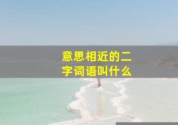 意思相近的二字词语叫什么