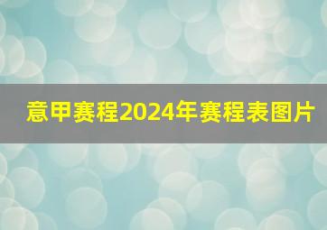 意甲赛程2024年赛程表图片