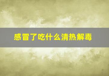 感冒了吃什么清热解毒