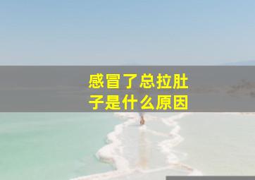 感冒了总拉肚子是什么原因