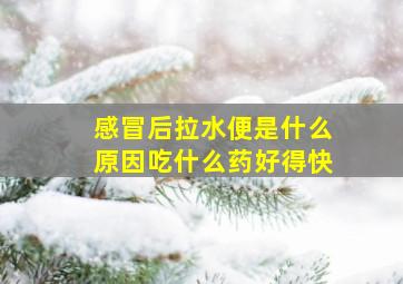 感冒后拉水便是什么原因吃什么药好得快