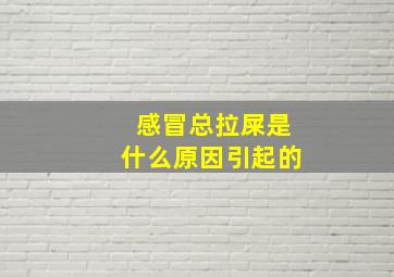 感冒总拉屎是什么原因引起的