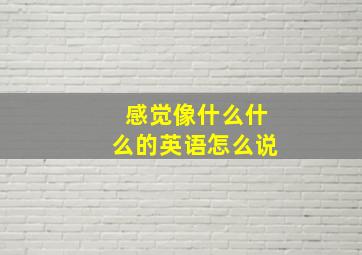 感觉像什么什么的英语怎么说