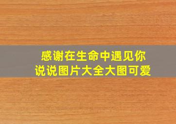 感谢在生命中遇见你说说图片大全大图可爱