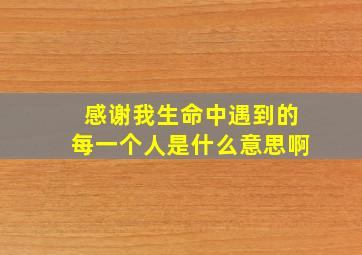 感谢我生命中遇到的每一个人是什么意思啊