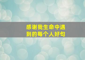 感谢我生命中遇到的每个人好句