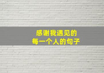 感谢我遇见的每一个人的句子