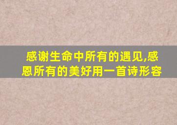 感谢生命中所有的遇见,感恩所有的美好用一首诗形容