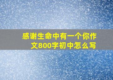 感谢生命中有一个你作文800字初中怎么写