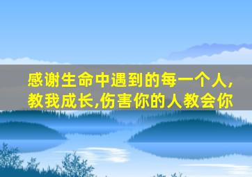 感谢生命中遇到的每一个人,教我成长,伤害你的人教会你