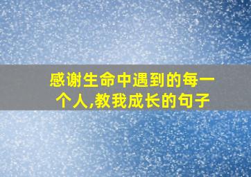 感谢生命中遇到的每一个人,教我成长的句子