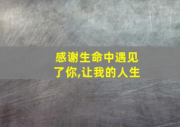 感谢生命中遇见了你,让我的人生