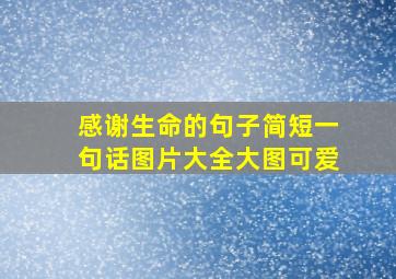 感谢生命的句子简短一句话图片大全大图可爱