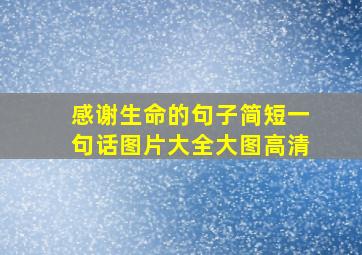 感谢生命的句子简短一句话图片大全大图高清