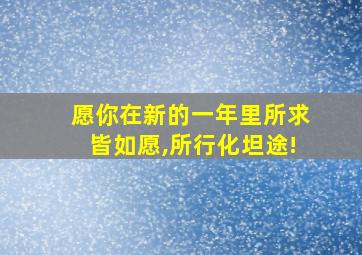 愿你在新的一年里所求皆如愿,所行化坦途!