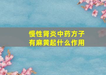 慢性肾炎中药方子有麻黄起什么作用