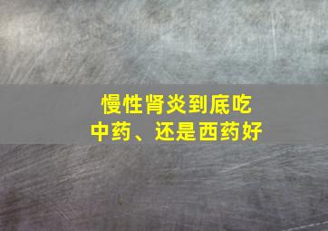 慢性肾炎到底吃中药、还是西药好