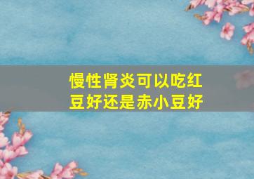 慢性肾炎可以吃红豆好还是赤小豆好