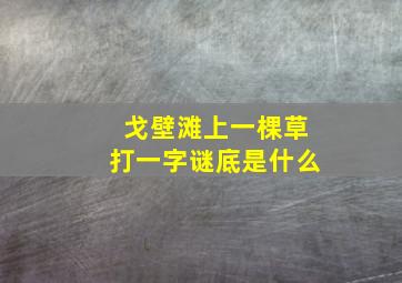 戈壁滩上一棵草打一字谜底是什么