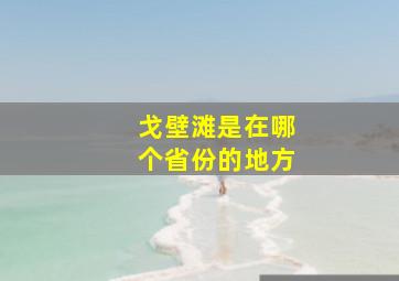 戈壁滩是在哪个省份的地方