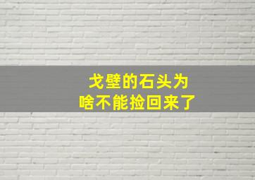 戈壁的石头为啥不能捡回来了