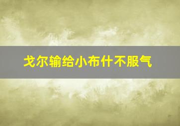 戈尔输给小布什不服气