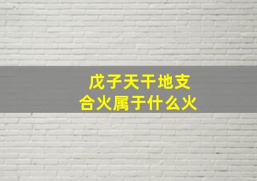 戊子天干地支合火属于什么火